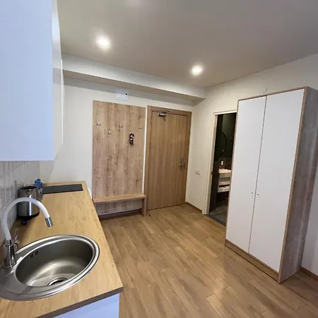 N209 Apartment In Bakuriani Exterior photo