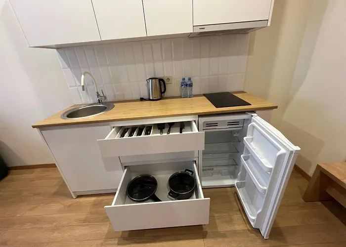 N209 Apartment In Bakuriani